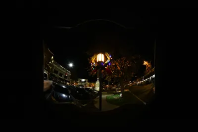 DSC_0013 (Large).JPG